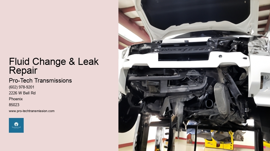 Fluid Change & Leak Repair